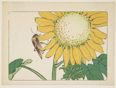 Grasshopper and Sunflower, c. 1877 by Shibata Zeshin